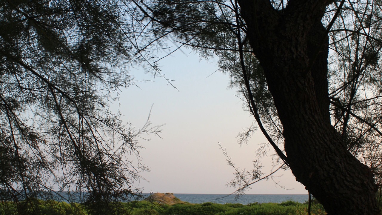 Photo of Outdoor in Torre Castiglione