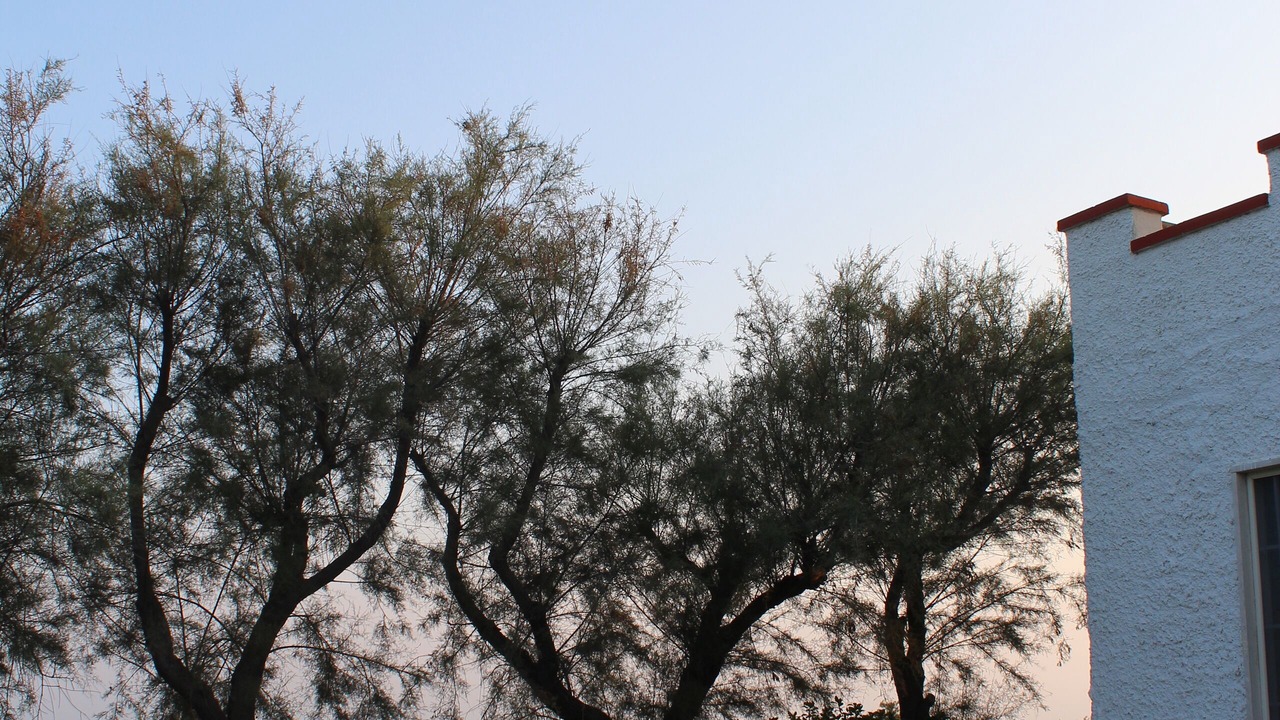 Photo of Outdoor in Torre Castiglione