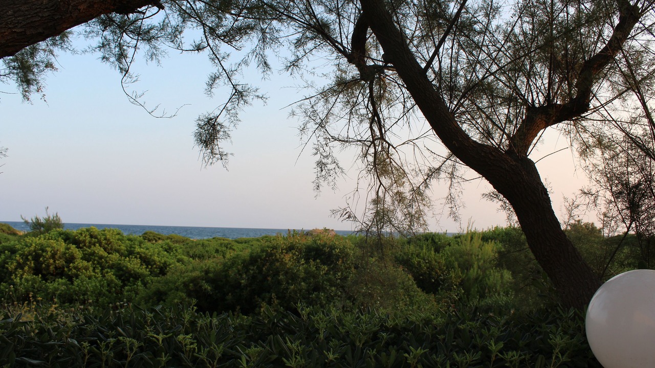 Photo of Outdoor in Torre Castiglione