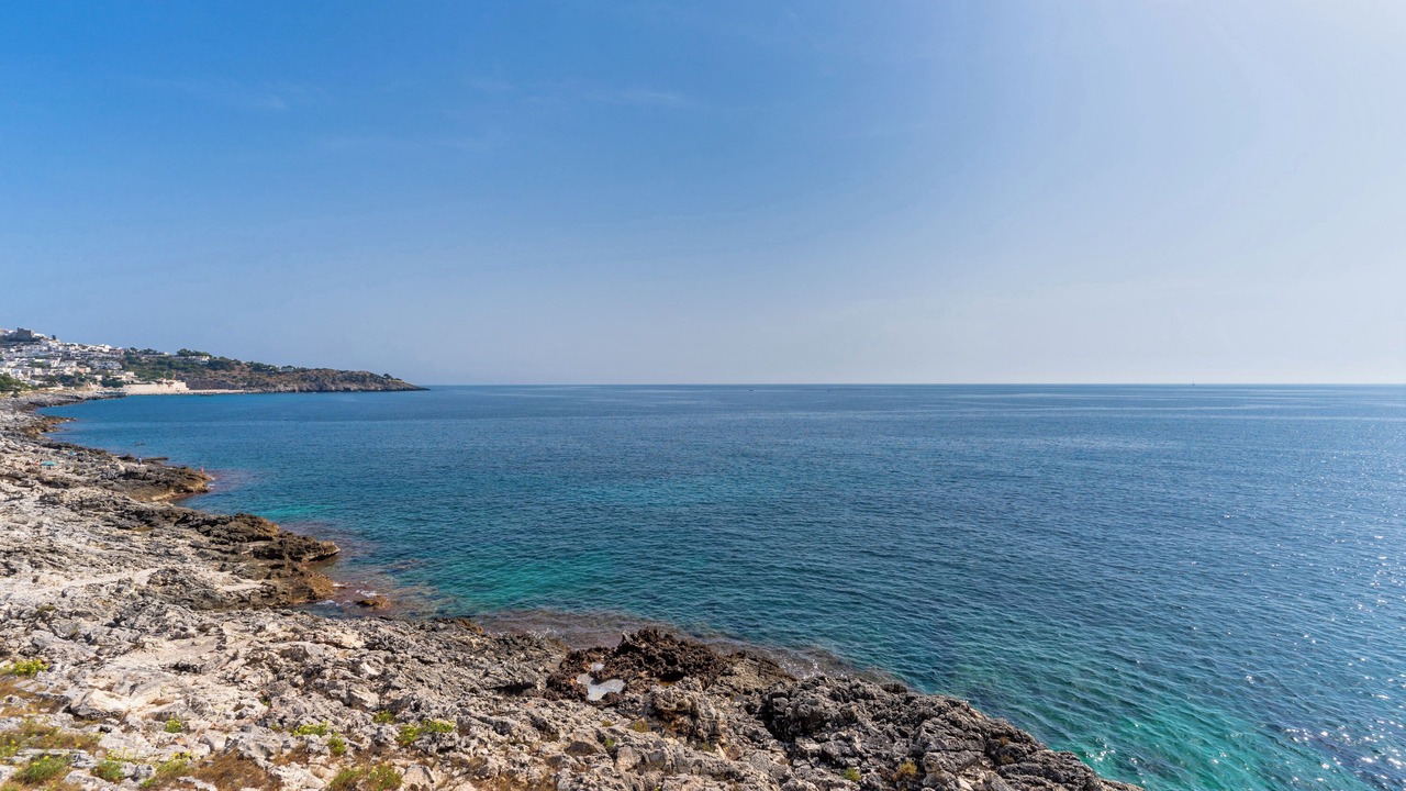 Photo of Others in Marina di Marittima