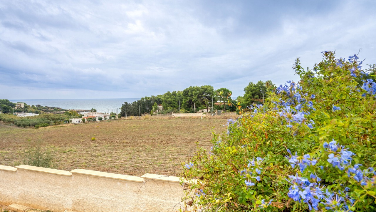 Photo of Others in Leporano