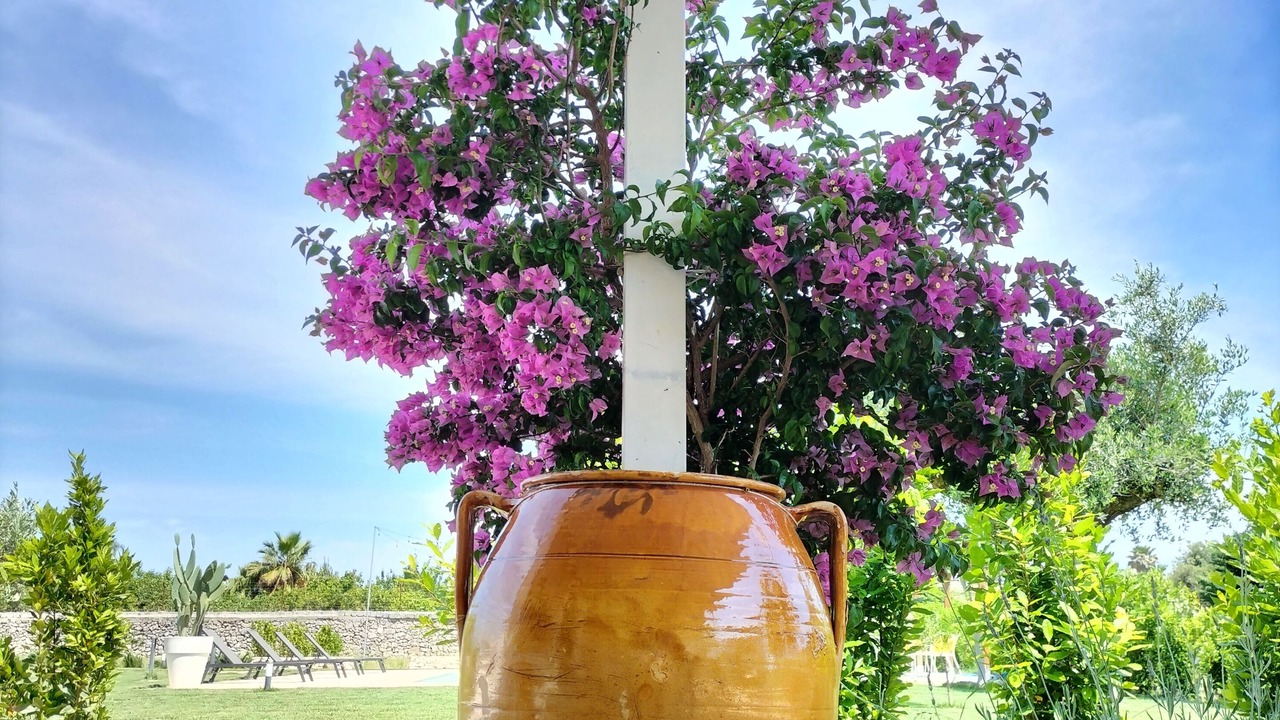 Photo of Outdoor in Manduria