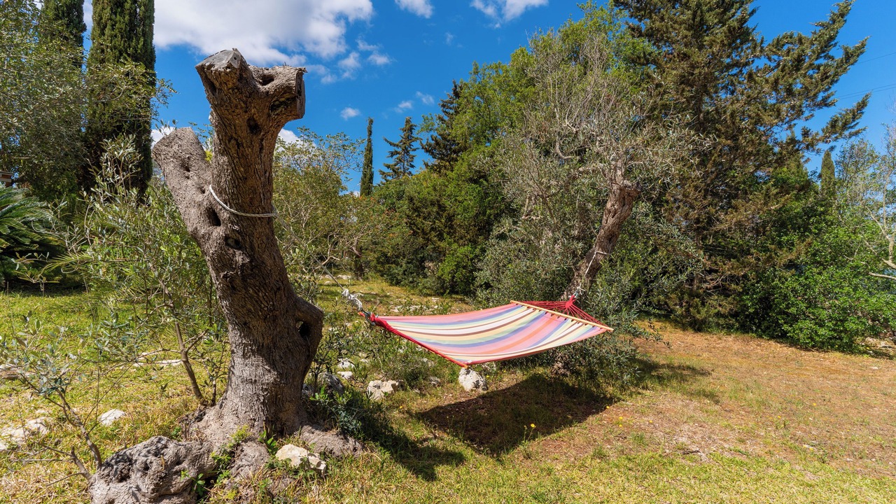 Photo of Outdoor in Specchia