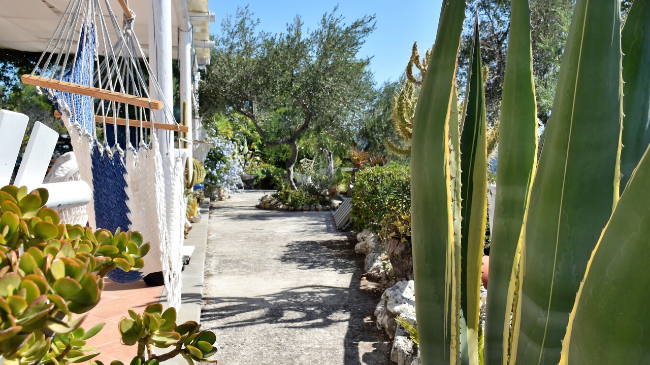 Photo of Outdoor in Mattinata