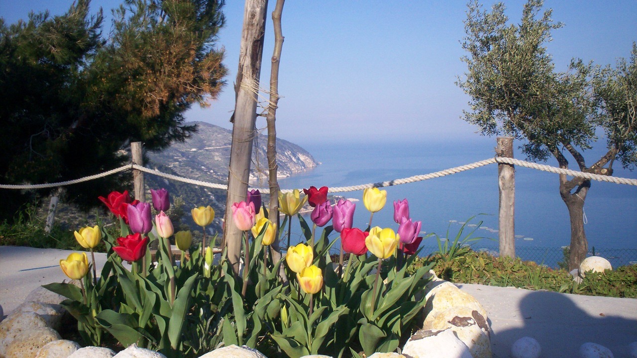 Photo of Outdoor in Mattinata