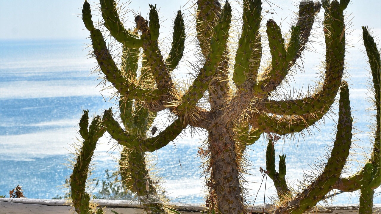 Photo of Outdoor in Mattinata