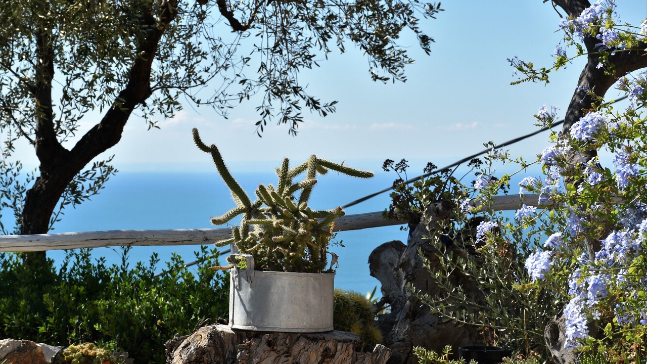 Photo of Outdoor in Mattinata