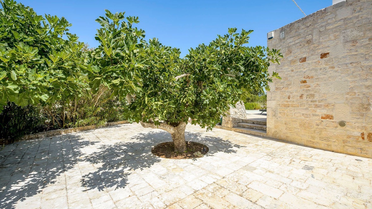 Photo of Outdoor in Locorotondo
