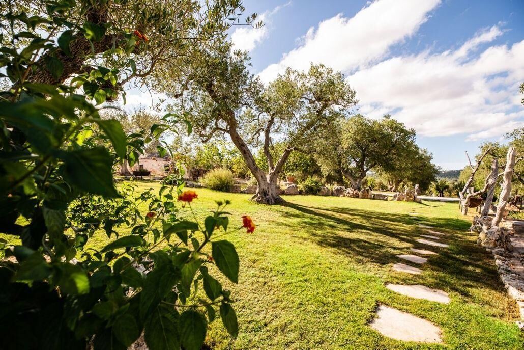 Photo of Outdoor in Cisternino