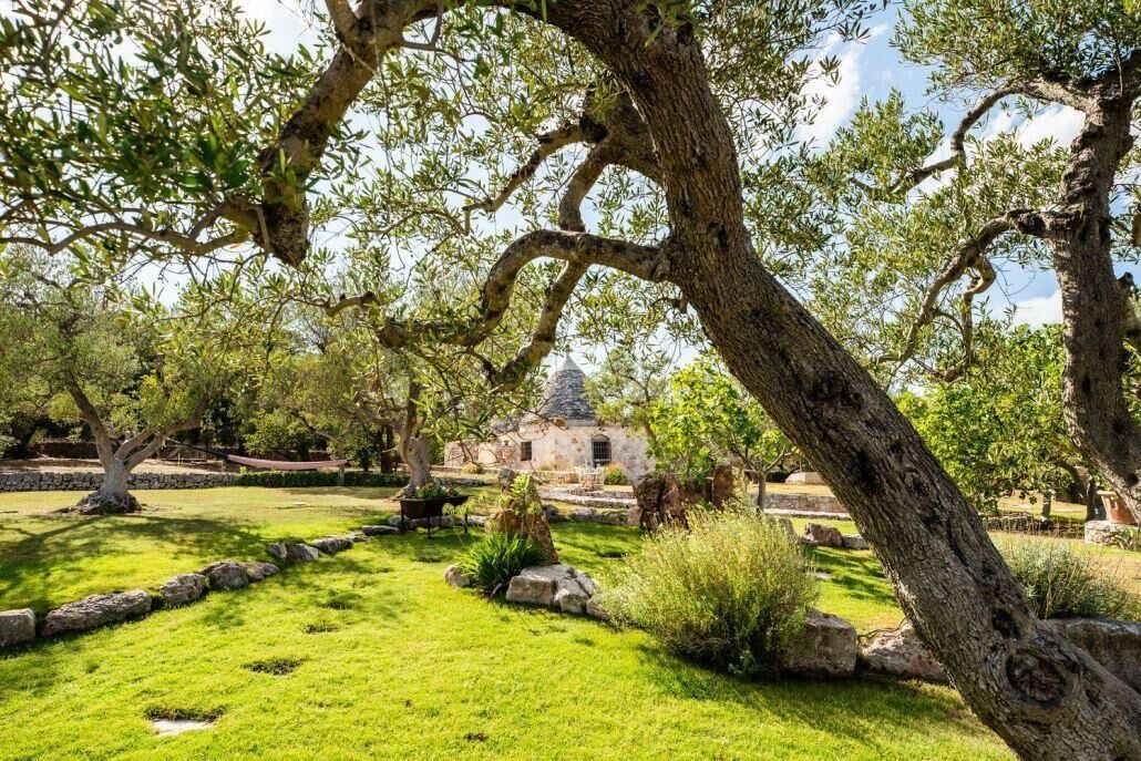 Photo of Outdoor in Cisternino