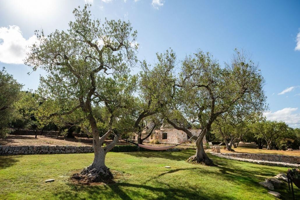 Photo of Outdoor in Cisternino