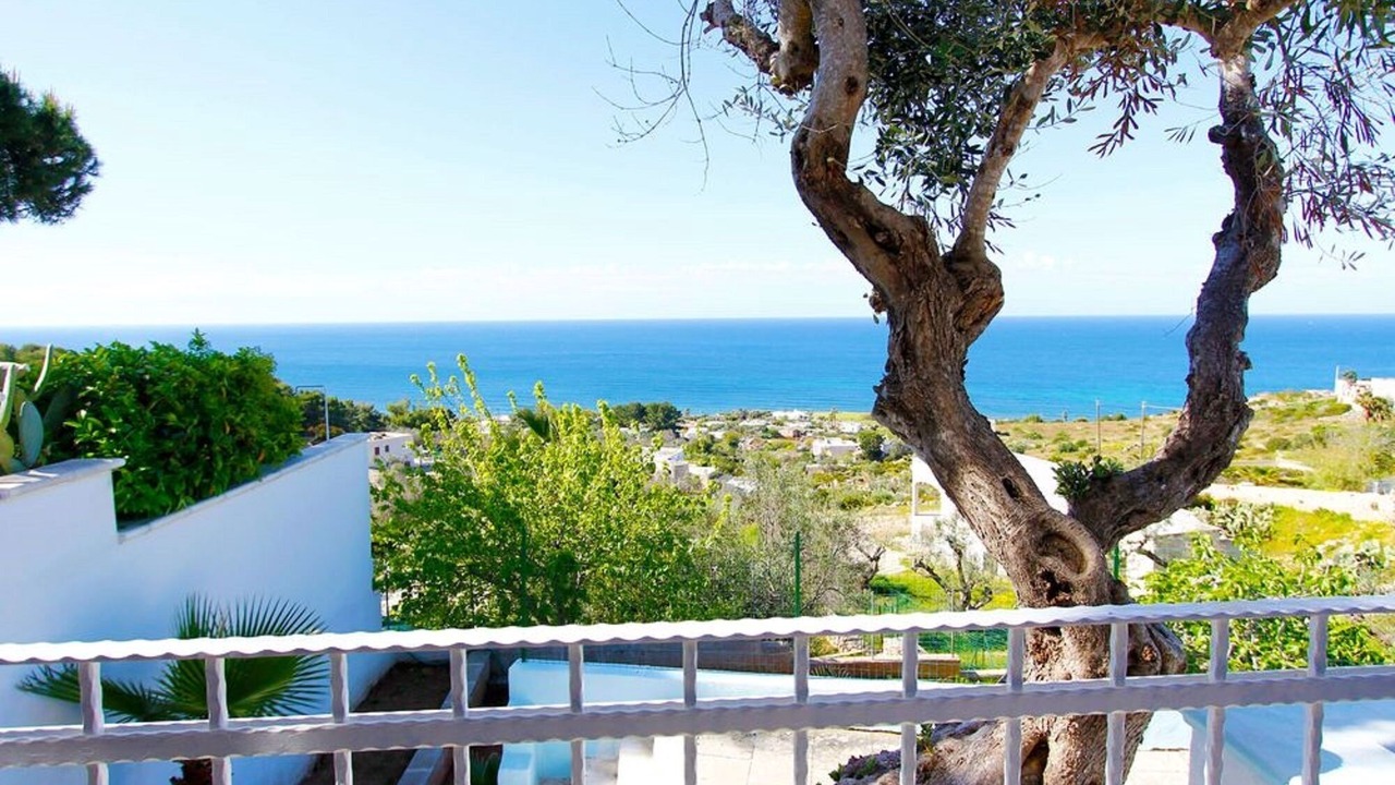 Photo of Outdoor in Torre Vado