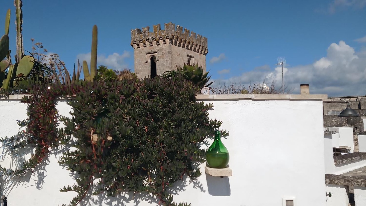 Photo of Outdoor in Alessano