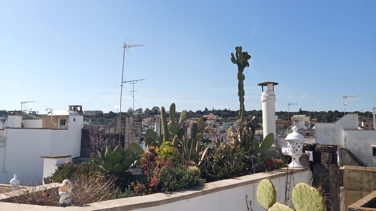 Photo of Outdoor in Alessano