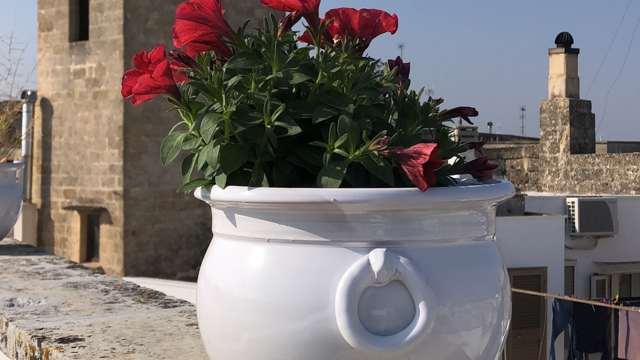 Photo of Outdoor in Alessano