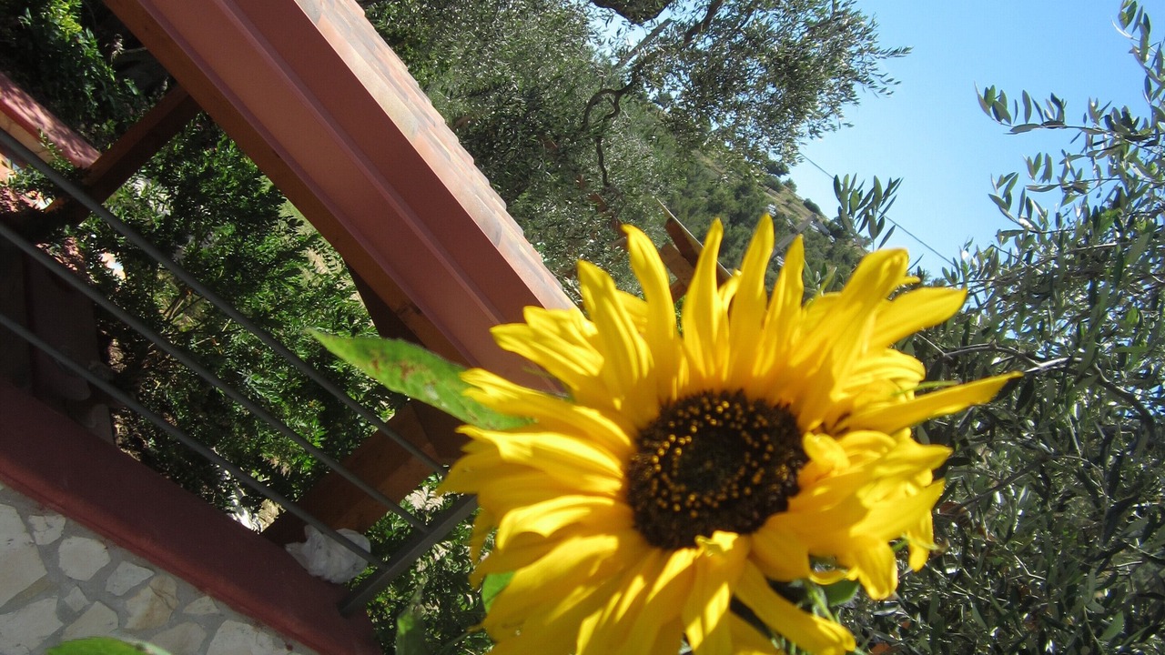 Photo of Outdoor in Mattinata