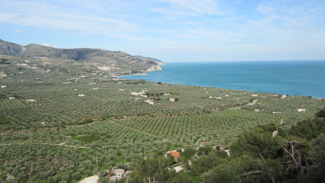 Photo of Outdoor in Mattinata