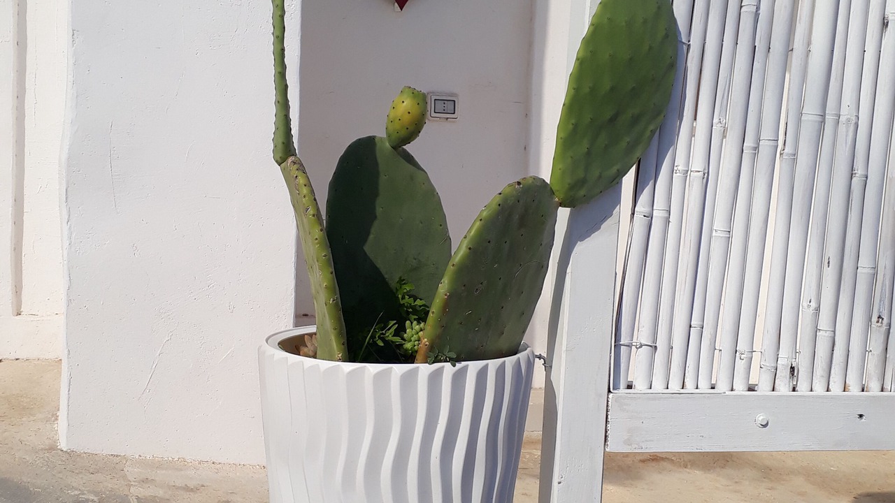 Photo of Outdoor in Montalbano