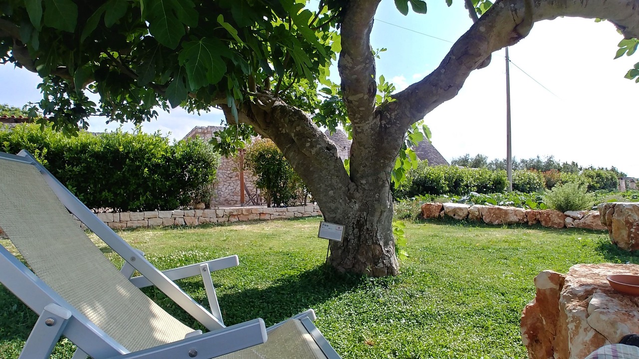 Photo of Outdoor in Martina Franca