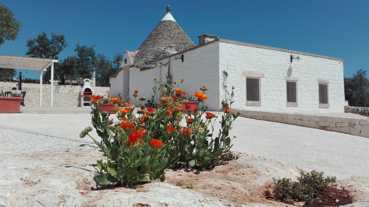 Photo of Outdoor in Alberobello