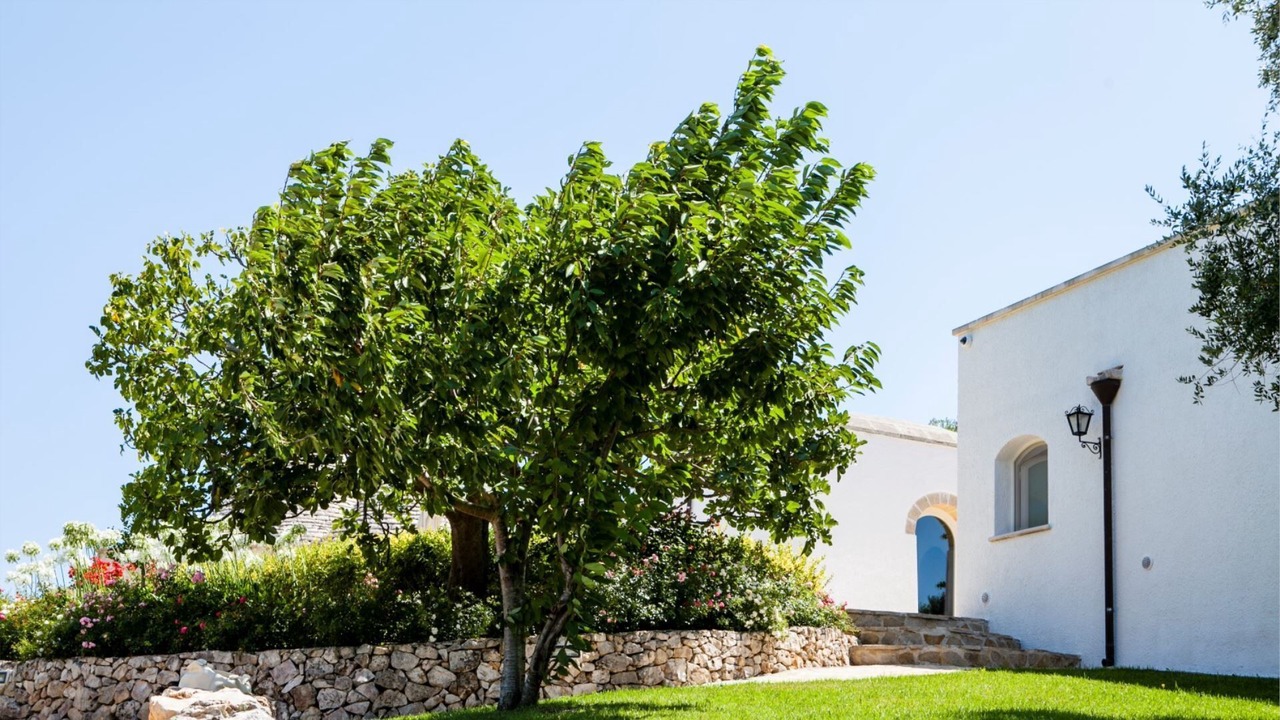 Photo of Outdoor in Ceglie Messapica