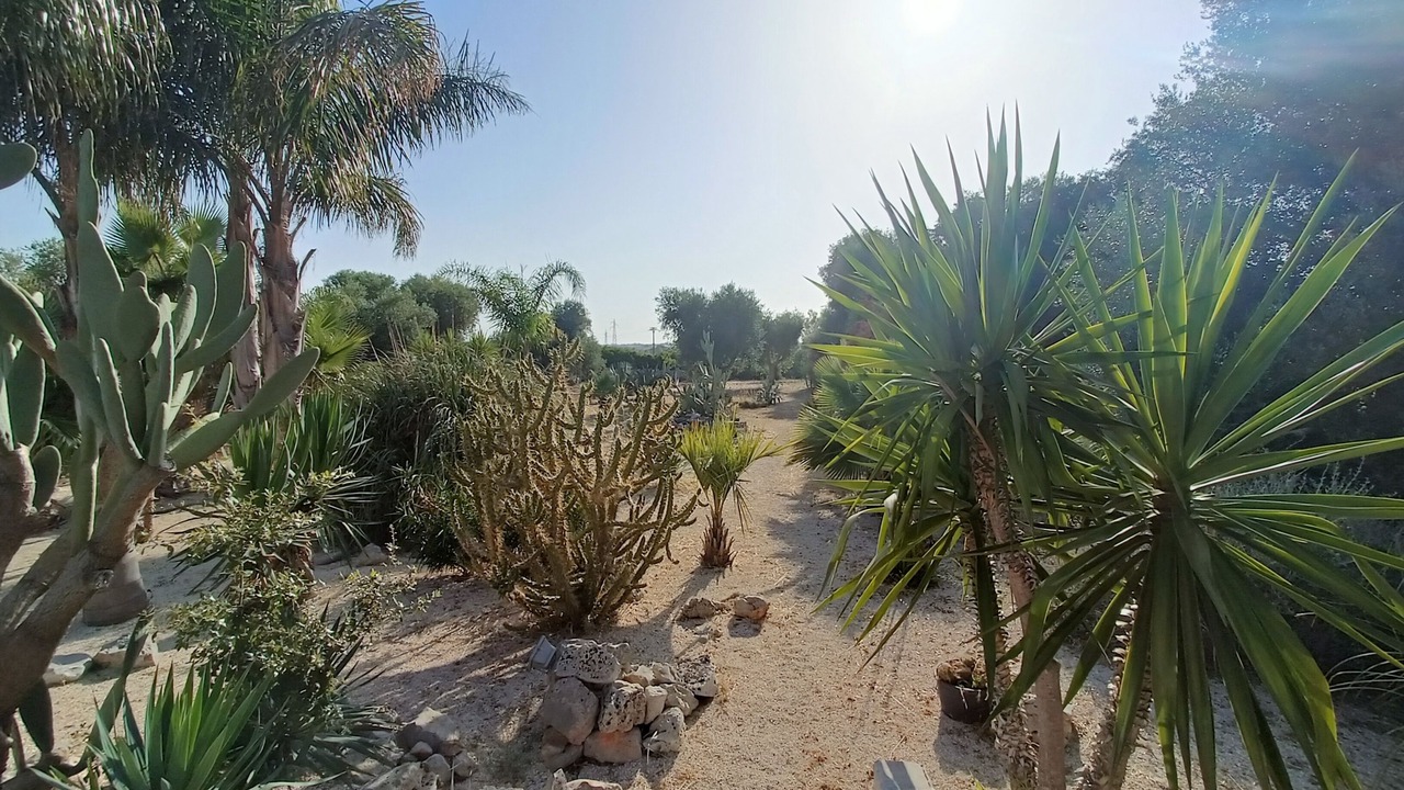 Photo of Outdoor in San Vito dei Normanni