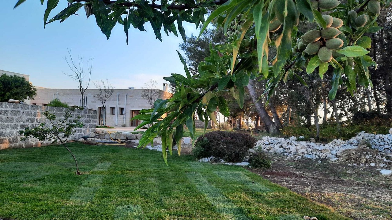 Photo of Outdoor in Giorgilorio