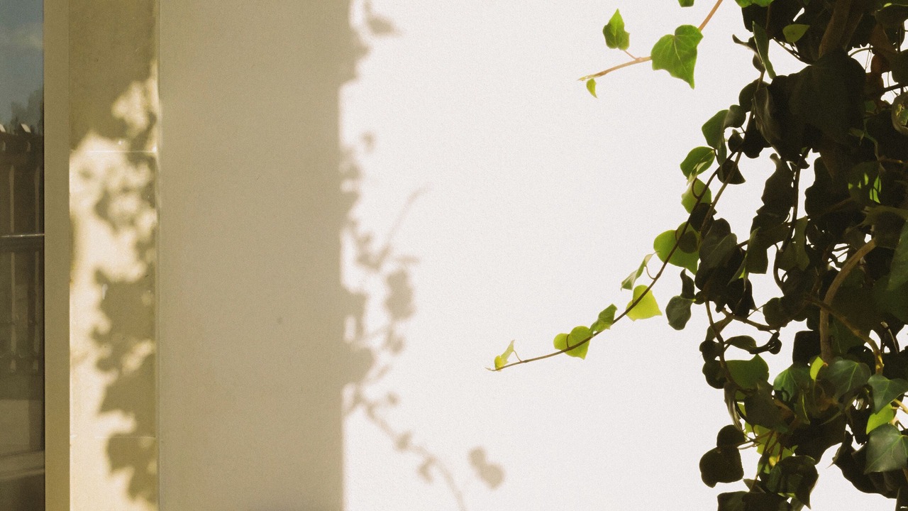 Photo of Outdoor in Otranto