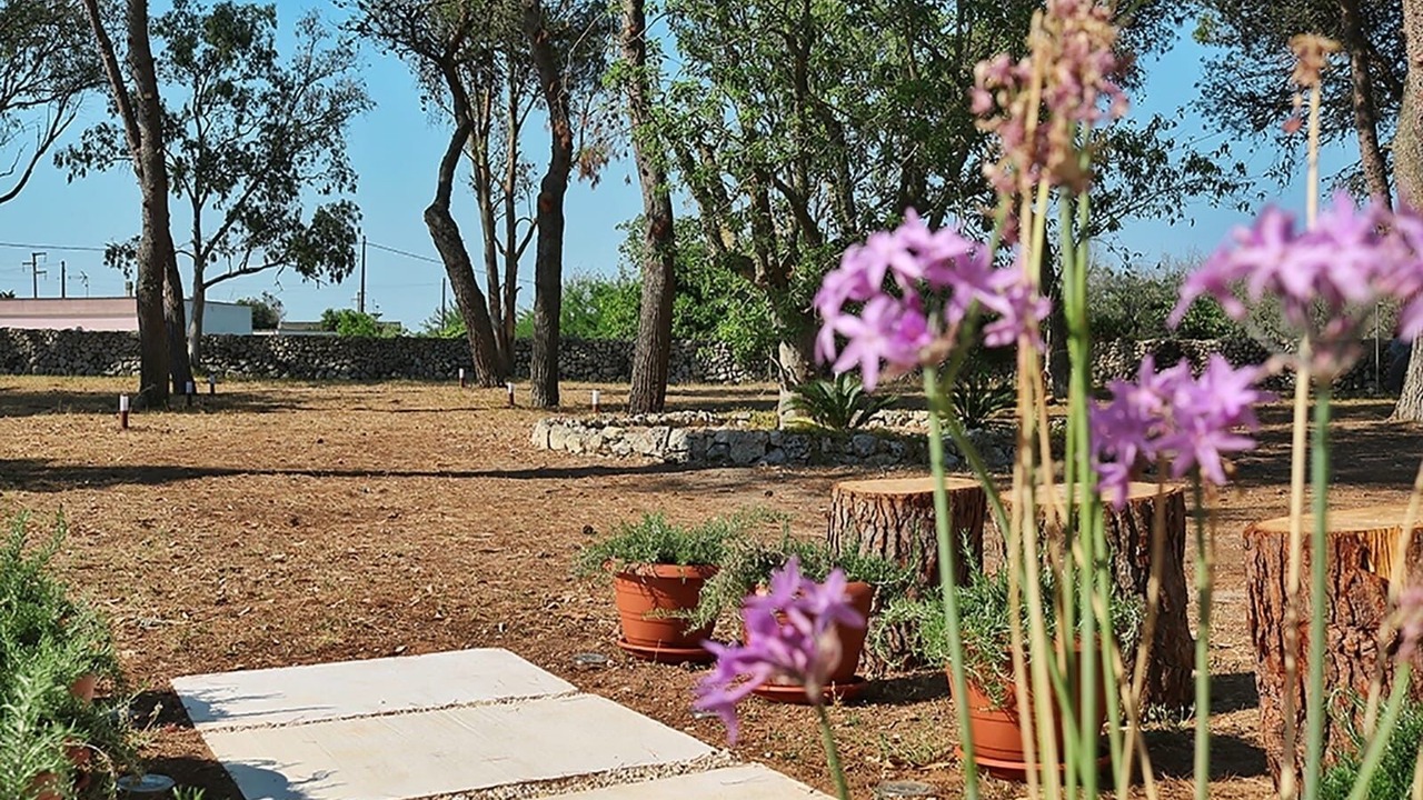 Photo of Outdoor in Vignacastrisi