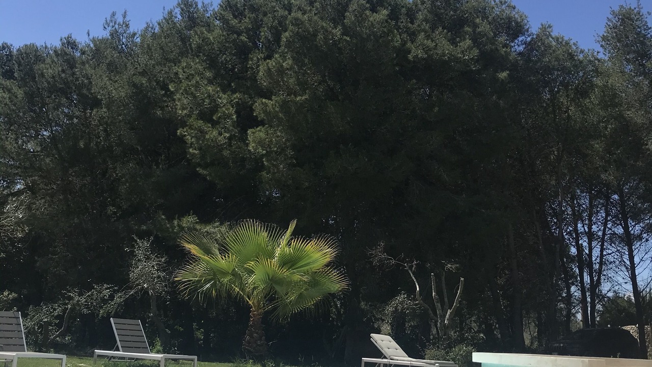 Photo of Outdoor in Castrignano de' Greci