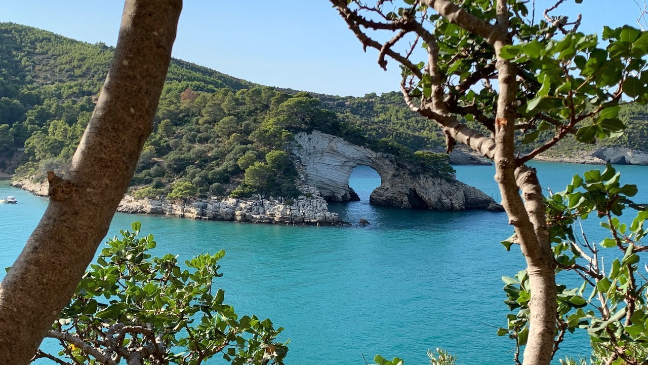 Photo of Others in Vico del Gargano