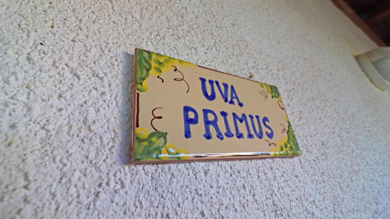 Photo of Others in Otranto