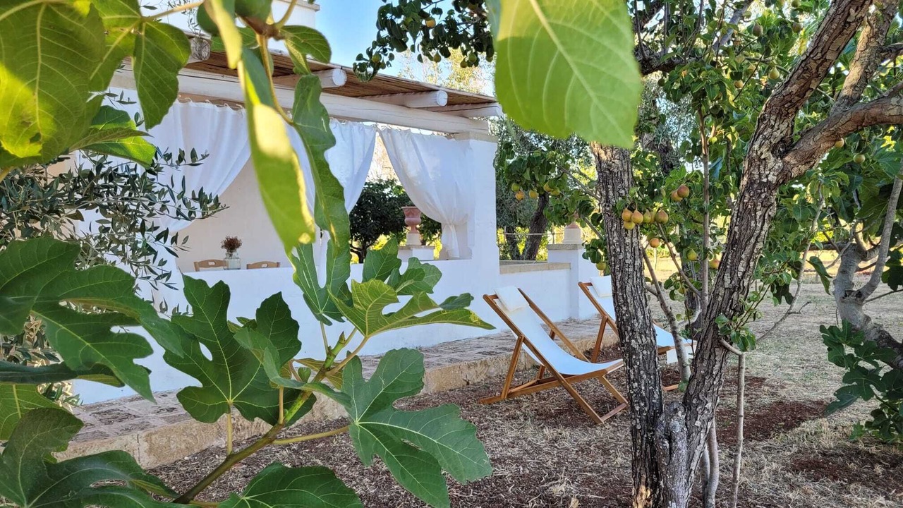 Photo of Outdoor in Diso