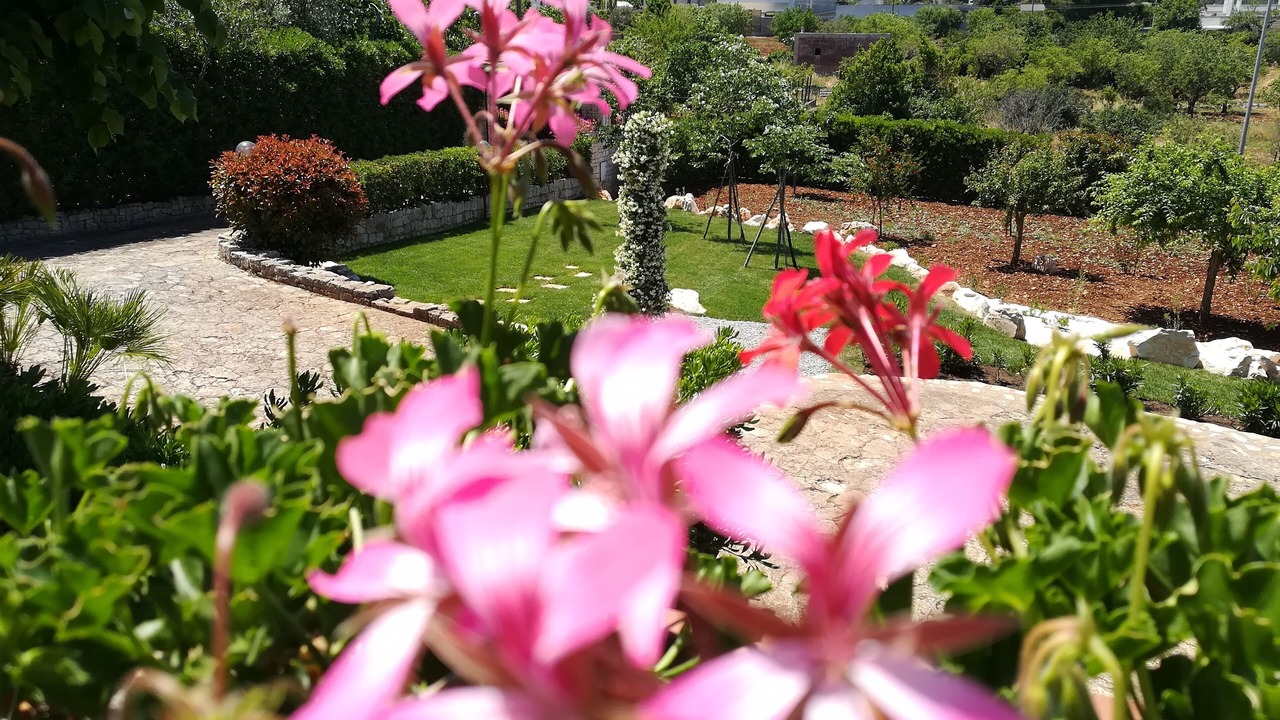 Photo of Outdoor in Castellana Grotte