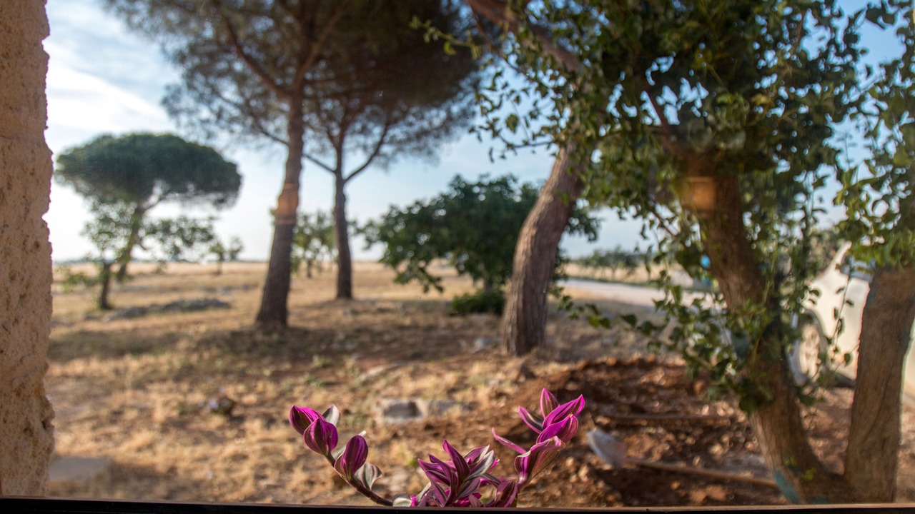 Photo of Others in Giorgilorio