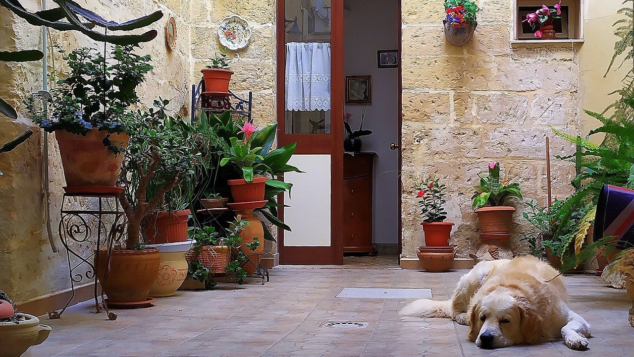 Photo of Outdoor in Lecce