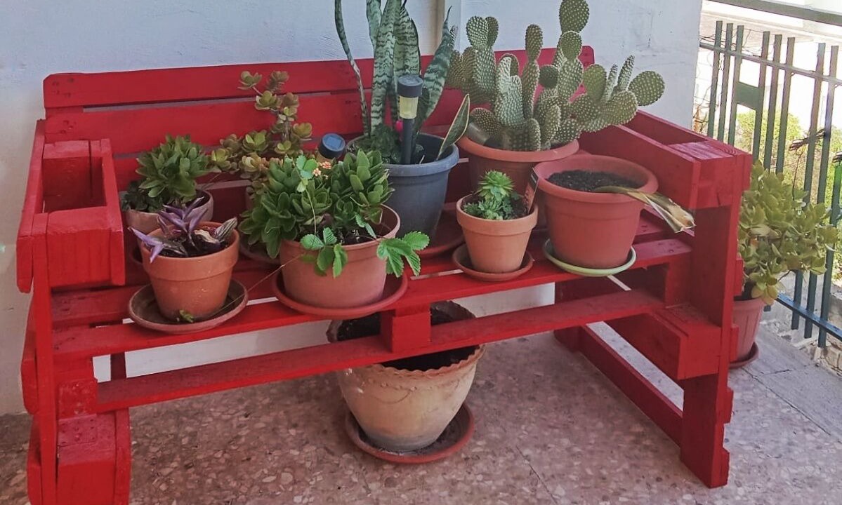 Photo of Outdoor in Lecce
