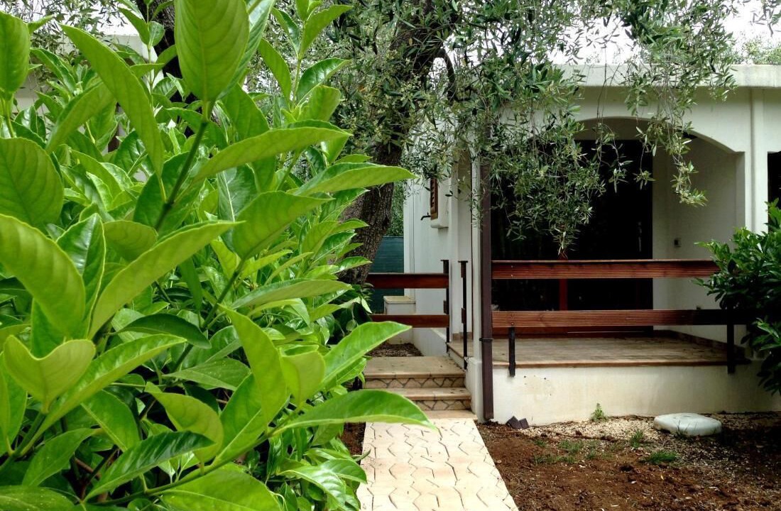 Photo of Outdoor in Mattinata