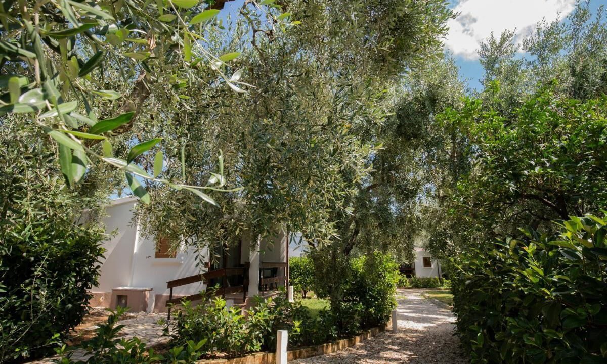 Photo of Outdoor in Mattinata