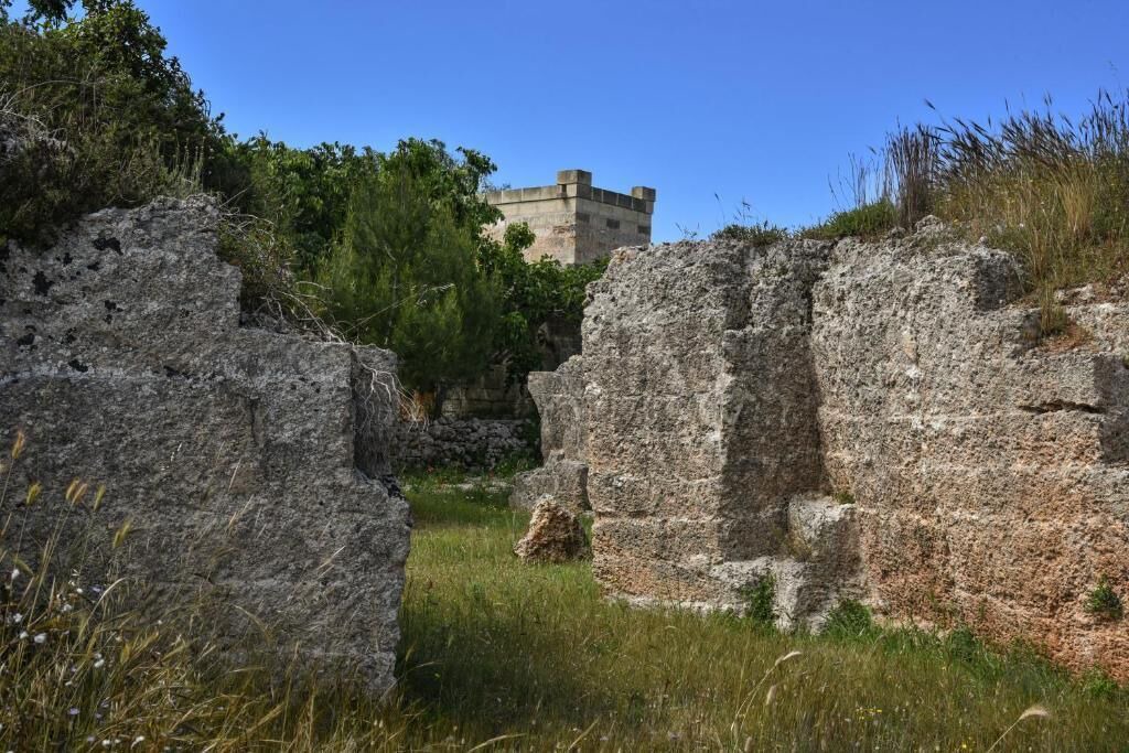 Photo of Others in Novoli