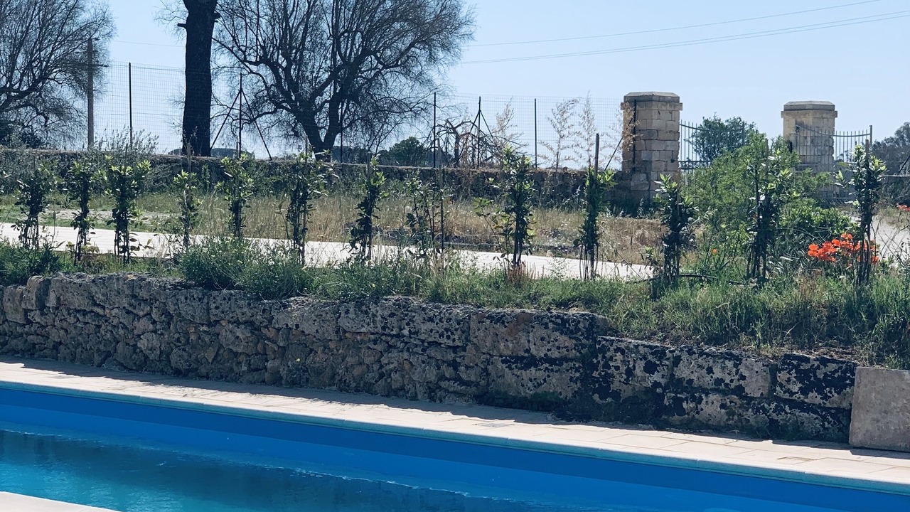 Photo of Outdoor in Novoli