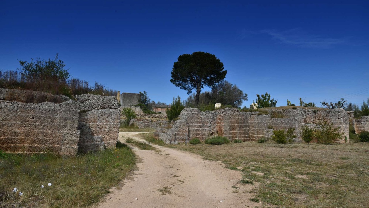 Photo of Outdoor in Novoli