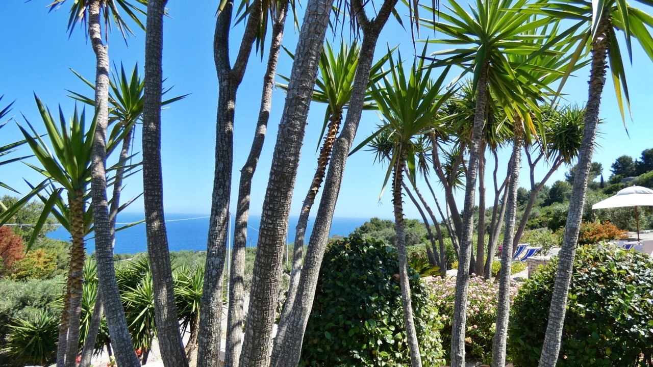 Photo of Outdoor in Marina di Novaglie