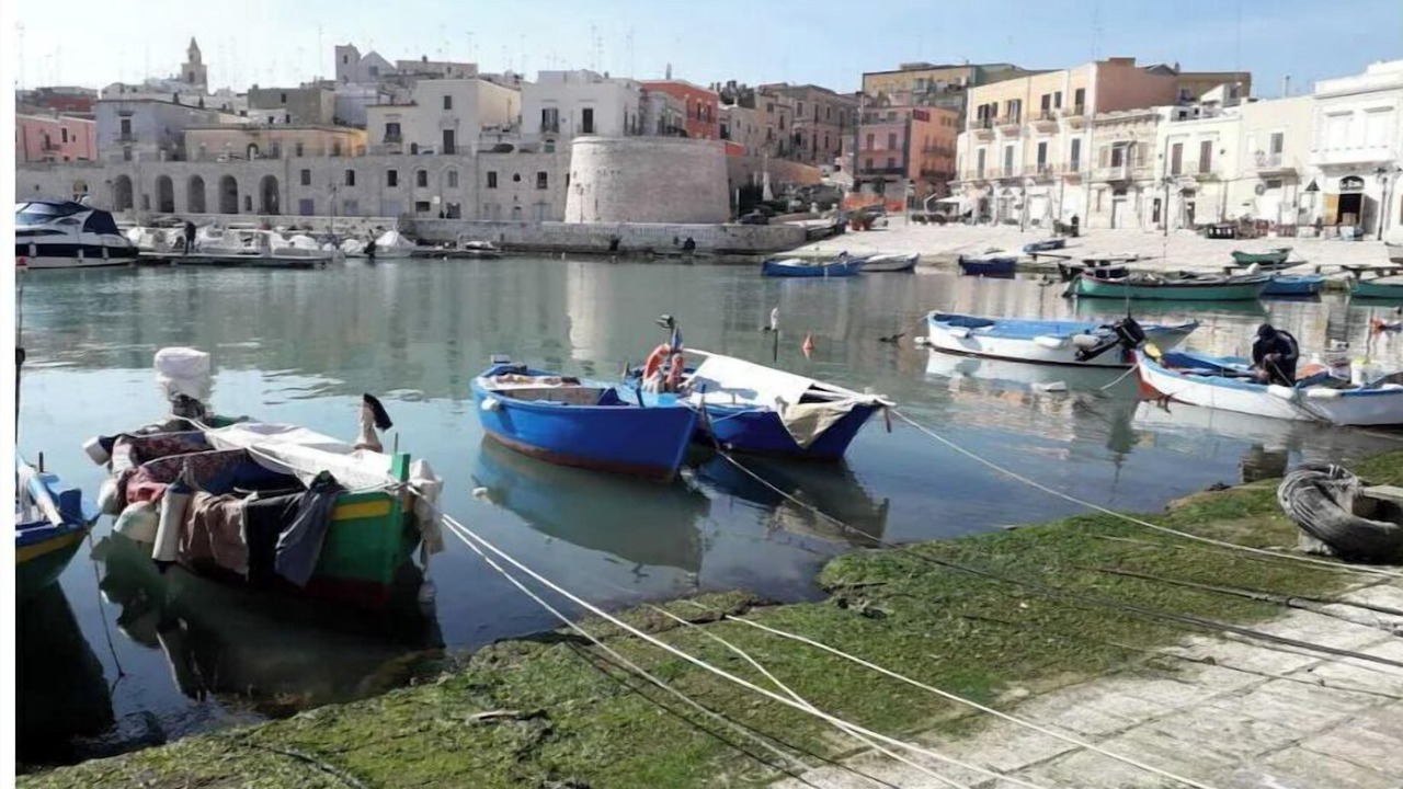 Photo of Others in Bisceglie