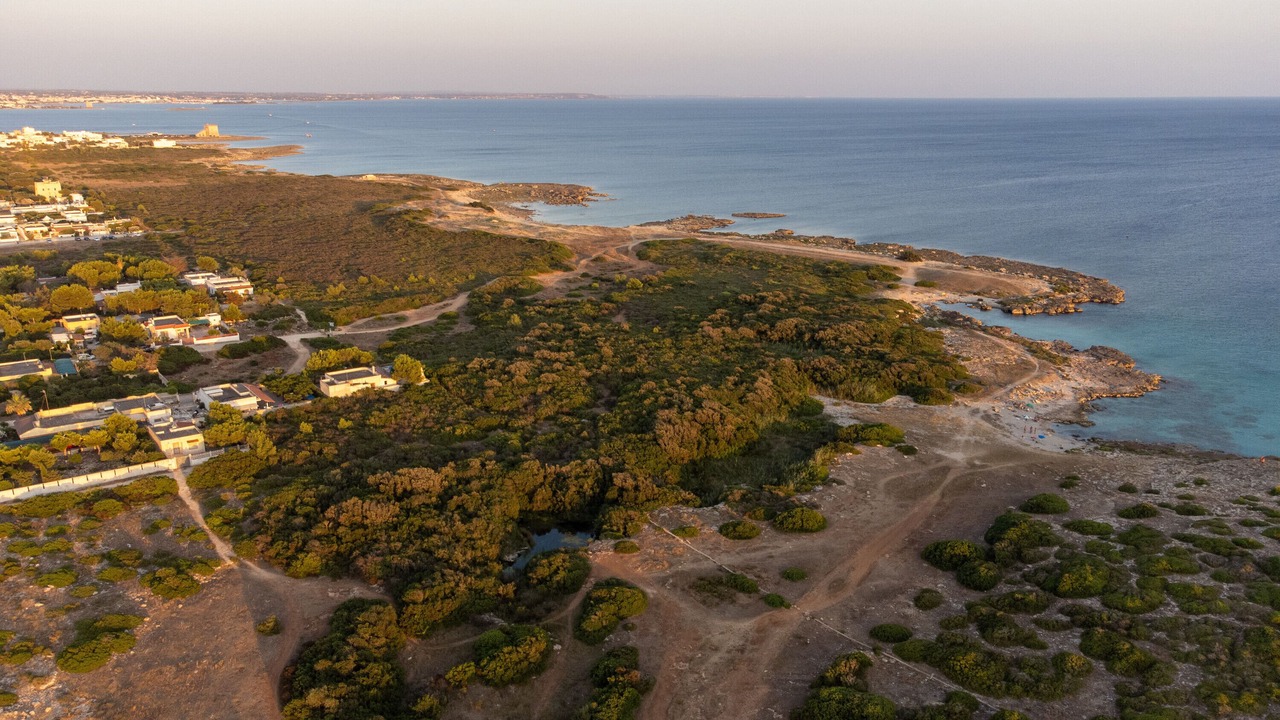 Photo of Outdoor in Torre Castiglione