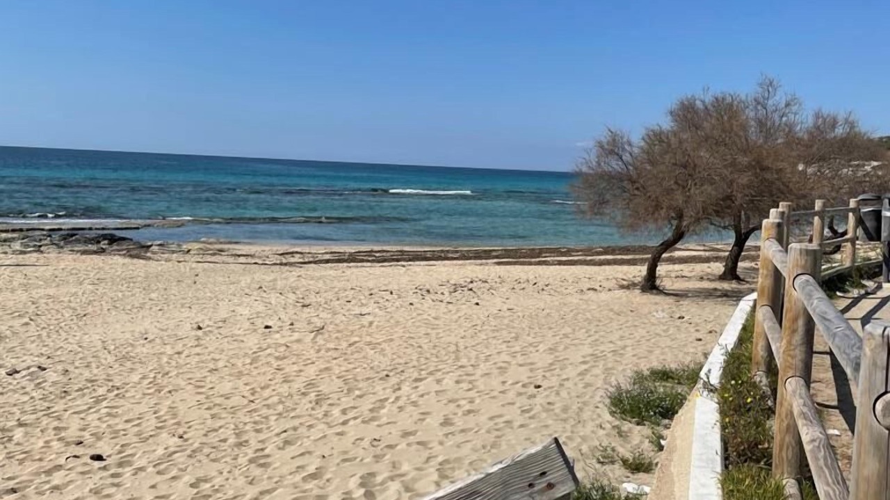 Photo of Others in Lido Conchiglie