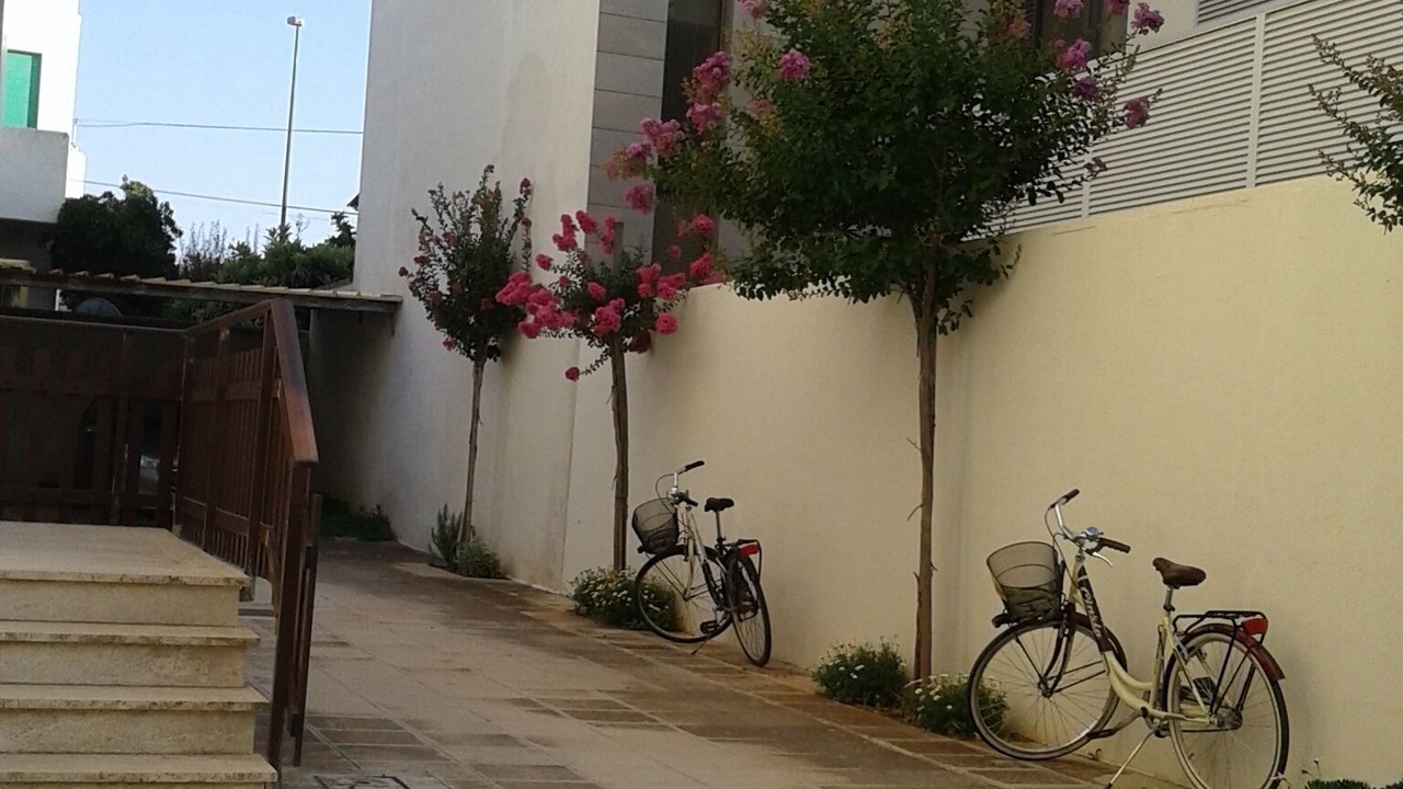 Photo of Outdoor in Province of Lecce