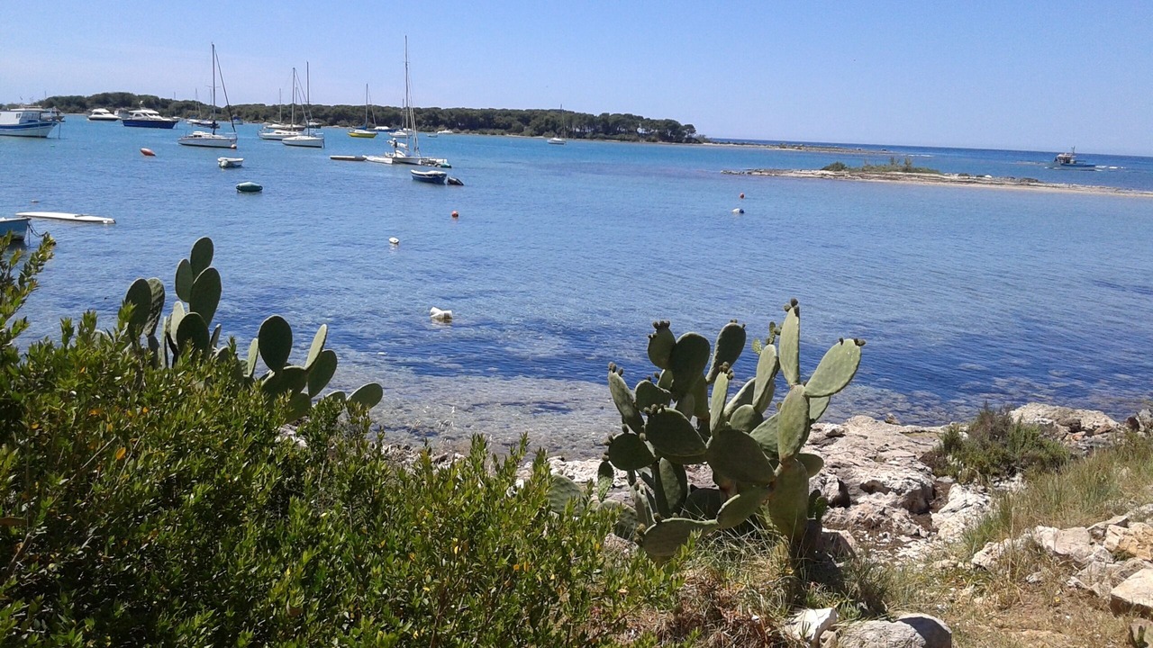 Photo of Others in Province of Lecce