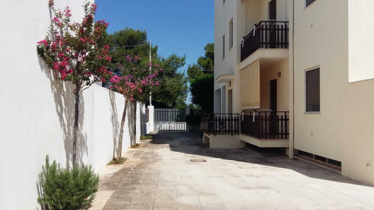 Photo of Outdoor in Province of Lecce