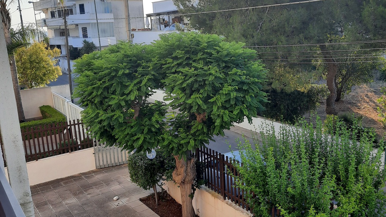 Photo of Outdoor in Province of Lecce